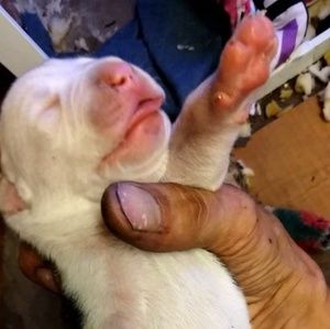 Meet your Posher, Scott